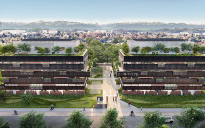 Boulevard de la Paix à Pau, une nouvelle maison pour les entreprises à succès