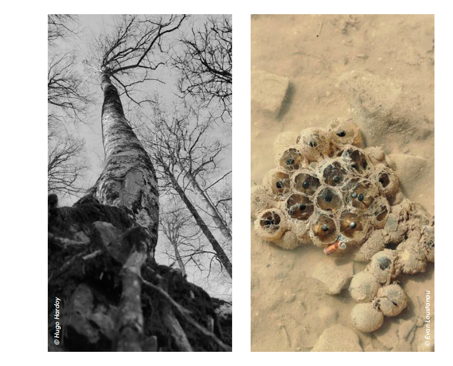 Pour la 4e année, la Région a organisé un concours photo sur le thème de la biodiversité à destination des 14-18 ans. Pour la 4e année, la Région a organisé un concours photo sur le thème de la biodiversité à destination des 14-18 ans.