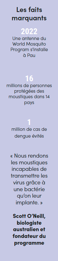 Installé à Pau, le World Mosquito Program développe une méthode innovante utilisant la bactérie Wolbachia pour réduire la transmission de la dengue, du Zika et du chikungunya.