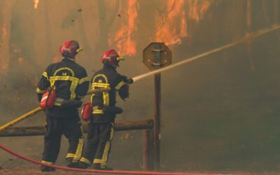 Incendies : les Béarnais se mobilisent pour les sinistrés
