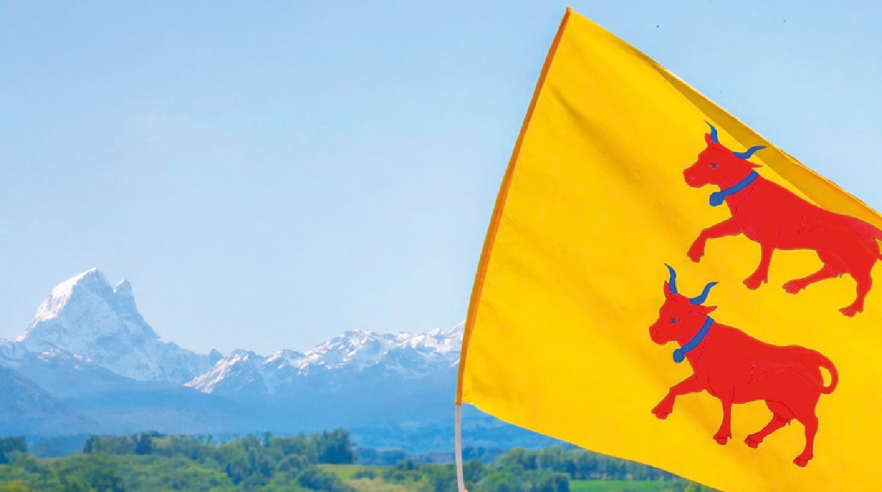 Le Conseil du développement du Pays de Béarn invite habitants, commerçants et associations à afficher le drapeau béarnais. Le Conseil du développement du Pays de Béarn invite habitants, commerçants et associations à afficher le drapeau béarnais.