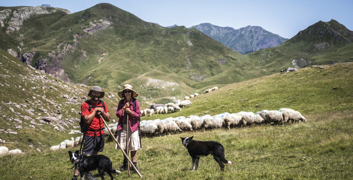 le Parc national des Pyrénées dépêche ses médiateurs pastoraux sur les sentiers, à la rencontre des randonneurs le Parc national des Pyrénées dépêche ses médiateurs pastoraux sur les sentiers, à la rencontre des randonneurs