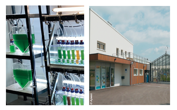 L’APESA célèbre ses 30 ans à Montardon. L’association accompagne les entreprises et soutient le développement économique local depuis trois décennies. L’APESA célèbre ses 30 ans à Montardon. L’association accompagne les entreprises et soutient le développement économique local depuis trois décennies.