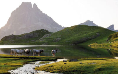 Le Parc national expérimente pour protéger l’eau