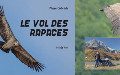 Vols de jour, rapaces et instantanés de nature