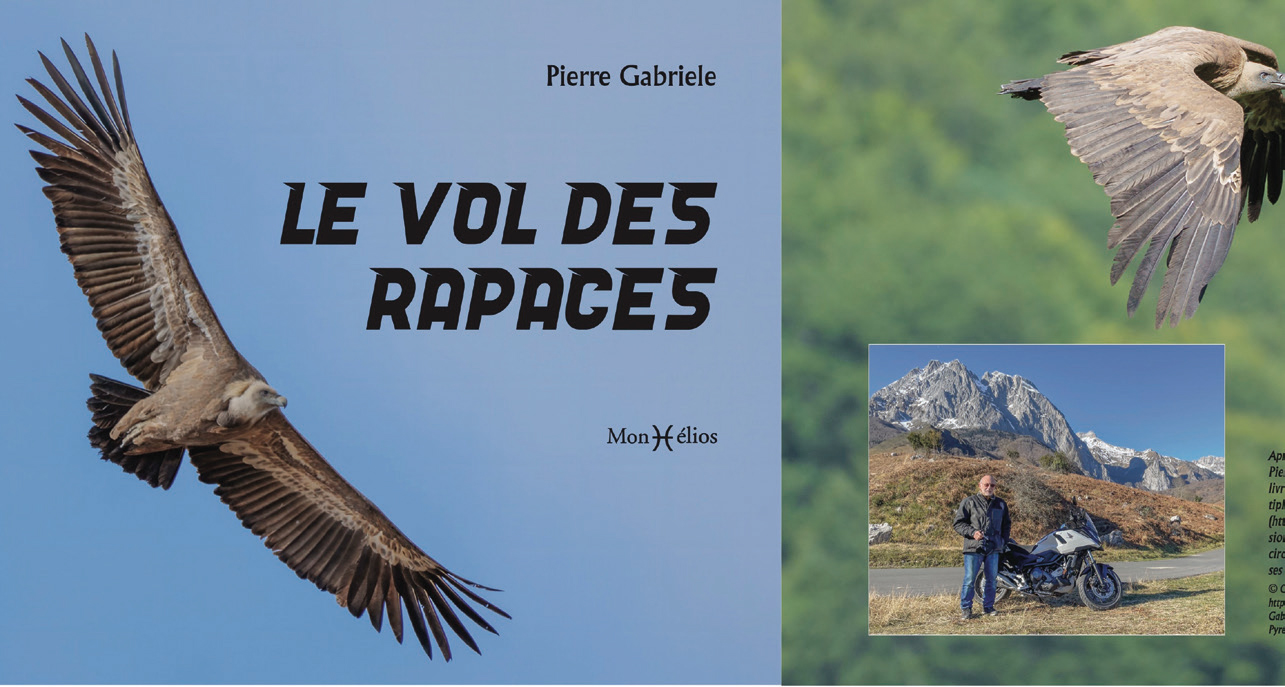 Avec son ouvrage Le vol des rapaces, le photographe Pierre Gabriele partage ses rencontres avec les oiseaux des Pyrénées et sa passion pour la photographie animalière. Avec son ouvrage Le vol des rapaces, le photographe Pierre Gabriele partage ses rencontres avec les oiseaux des Pyrénées et sa passion pour la photographie animalière.