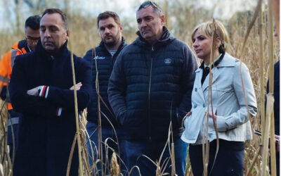 Béarn : une stratégie biomasse en construction