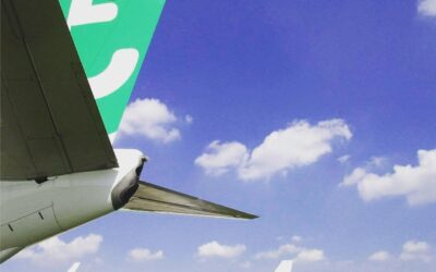 Transavia suspend sa ligne entre Pau et Paris-Orly