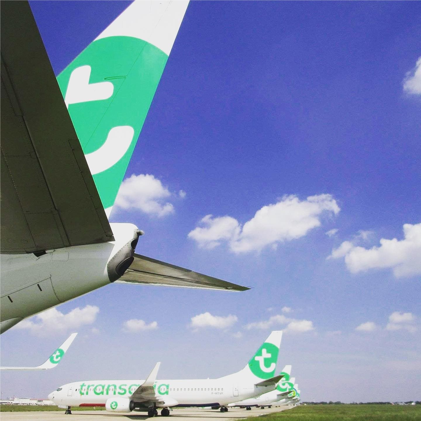 Transavia suspend la ligne directe entre l'aéroport de Pau et celui de Paris-Orly - Petites Affiches Béarnaises