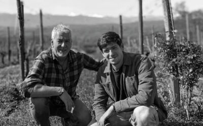 Vignopedia, une encyclopédie du vin pour tous