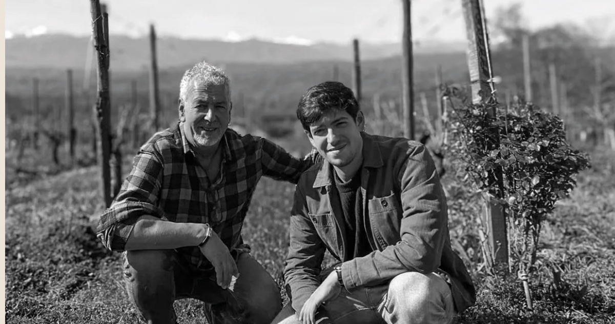 Plongez dans l’univers viticole avec Vignopedia, la nouvelle encyclopédie du vin conçue pour les amateurs et les passionnés. Cépages, terroirs et astuces. Plongez dans l'univers viticole avec Vignopedia, la nouvelle encyclopédie du vin conçue pour les amateurs et les passionnés. Cépages, terroirs et astuces.